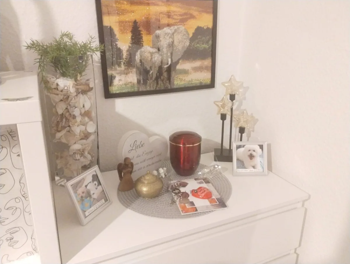 A memorial corner on a white chest of drawers, with a red urn, framed pet photos, keepsakes and star decorations.