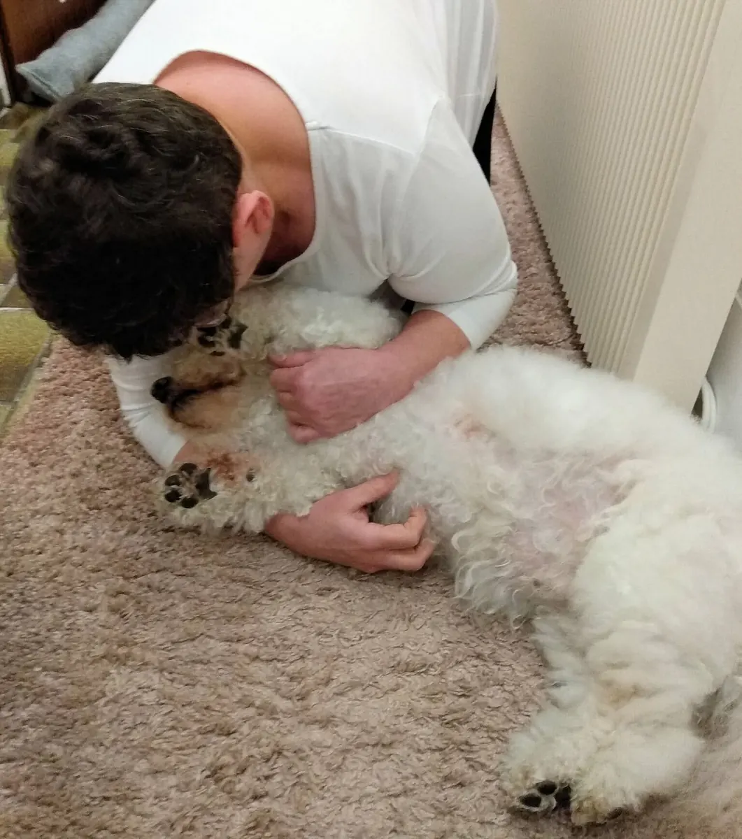 A person leans over Nemo and holds him while he lies on his back on a rug.
