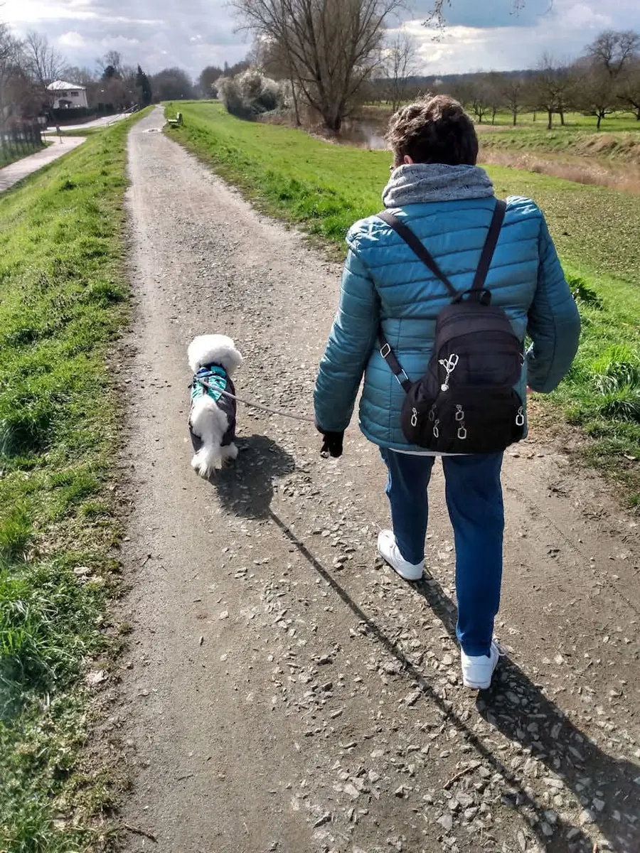 Nemo walks on a lead with a companion along a path between green meadows.